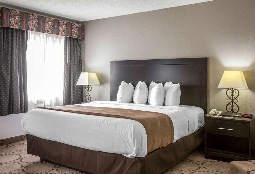 酒店 Quality Inn Stockbridge Atlanta South