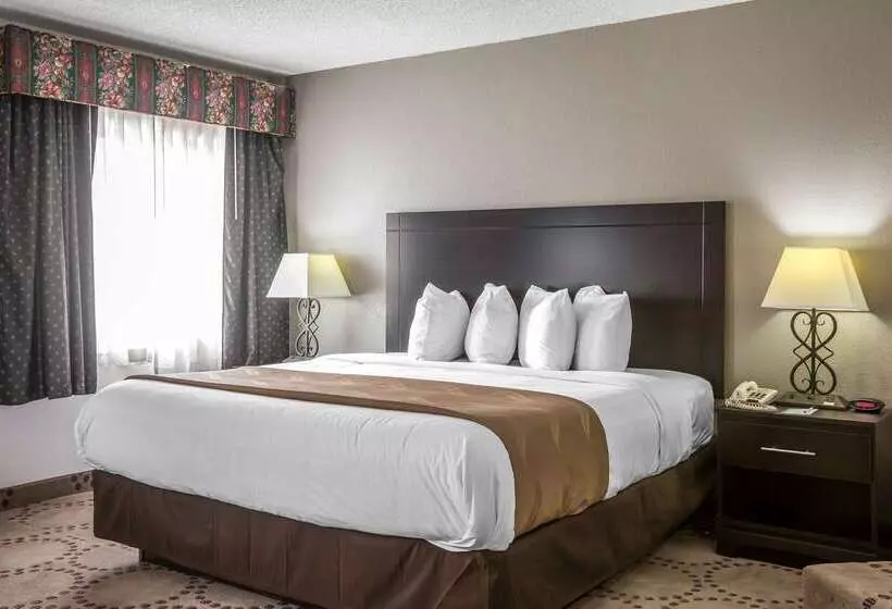 Отель Quality Inn Stockbridge Atlanta South