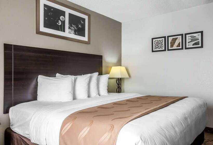 酒店 Quality Inn Stockbridge Atlanta South