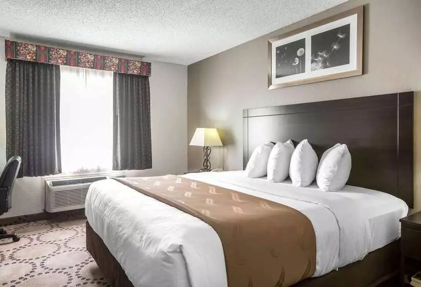 Отель Quality Inn Stockbridge Atlanta South