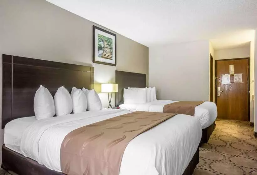 Отель Quality Inn Stockbridge Atlanta South
