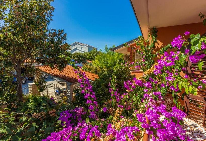 Apartments Villa Mavero