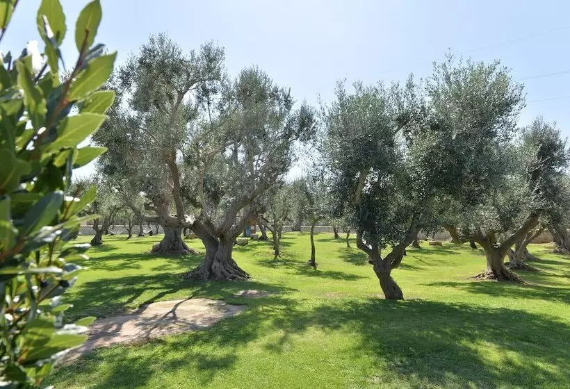 تختخواب و صبحانه I Trulli Del Nonno Michele