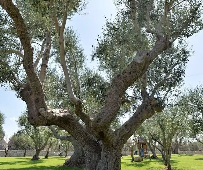 تختخواب و صبحانه I Trulli Del Nonno Michele