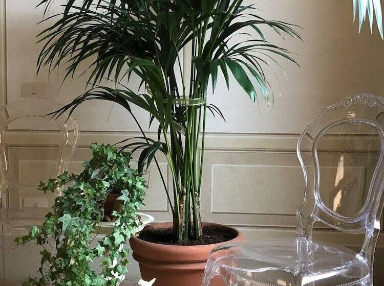 تختخواب و صبحانه Le Case Di San Vitale