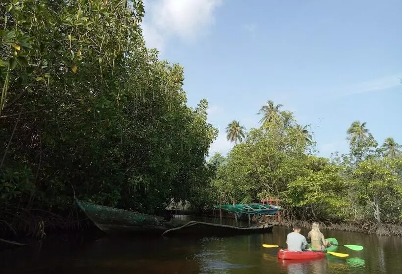 Koh Rong Love Resort   Hostel