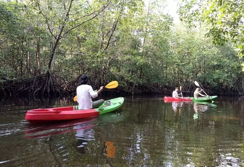 Koh Rong Love Resort   Hostel