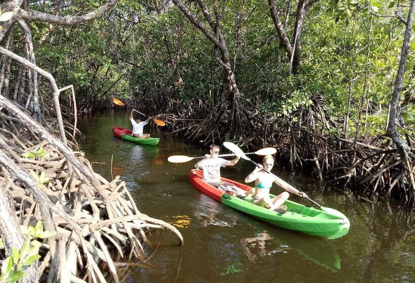 Koh Rong Love Resort   Hostel