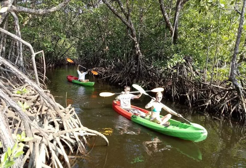 Koh Rong Love Resort   Hostel