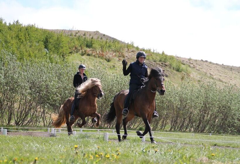 پانسیون Dæli Guesthouse