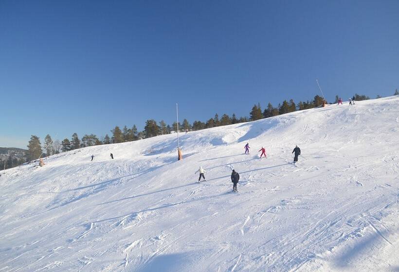 Ski Lodge & Apartments Gautefall