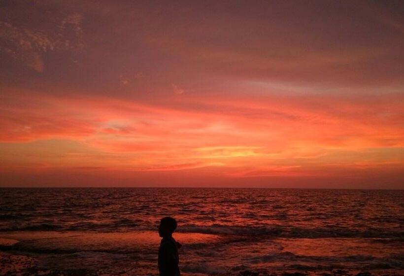 Bed and Breakfast Araliya White House