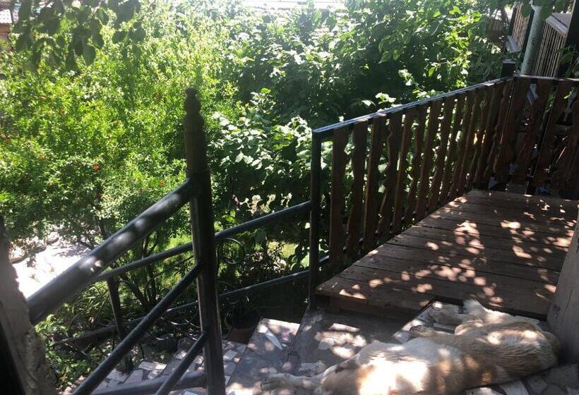 تختخواب و صبحانه Master S House Dayan