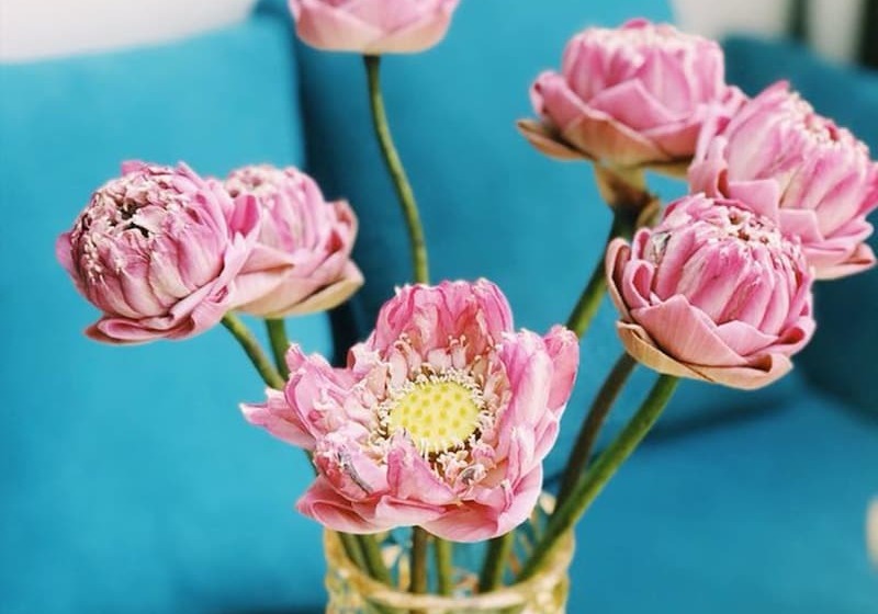 Lebou Boutique Hostel