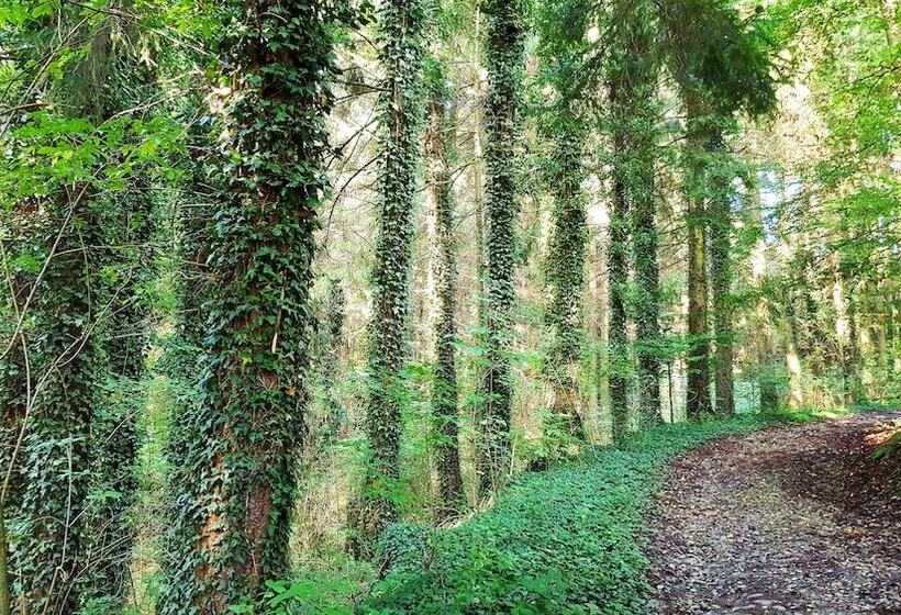 膳宿费 Gräfrath Gästehaus Neunkirchen Seelscheid