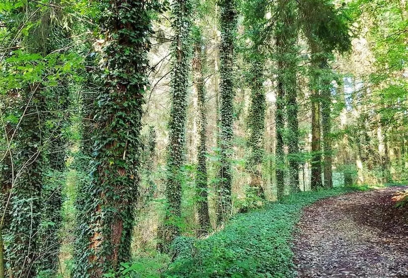 Majatalo Gräfrath Gästehaus Neunkirchen Seelscheid
