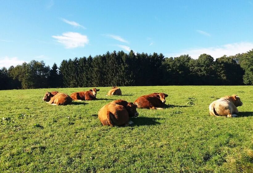 膳宿费 Gräfrath Gästehaus Neunkirchen Seelscheid