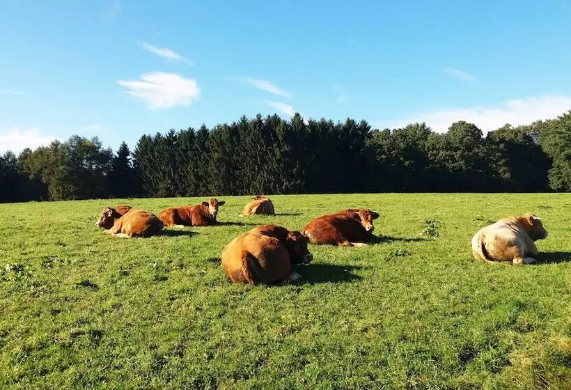 Majatalo Gräfrath Gästehaus Neunkirchen Seelscheid