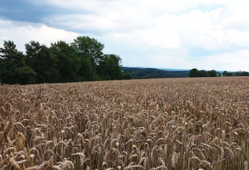 膳宿费 Gräfrath Gästehaus Neunkirchen Seelscheid