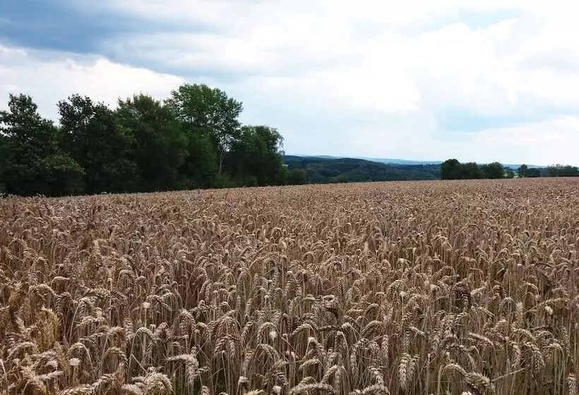 Majatalo Gräfrath Gästehaus Neunkirchen Seelscheid