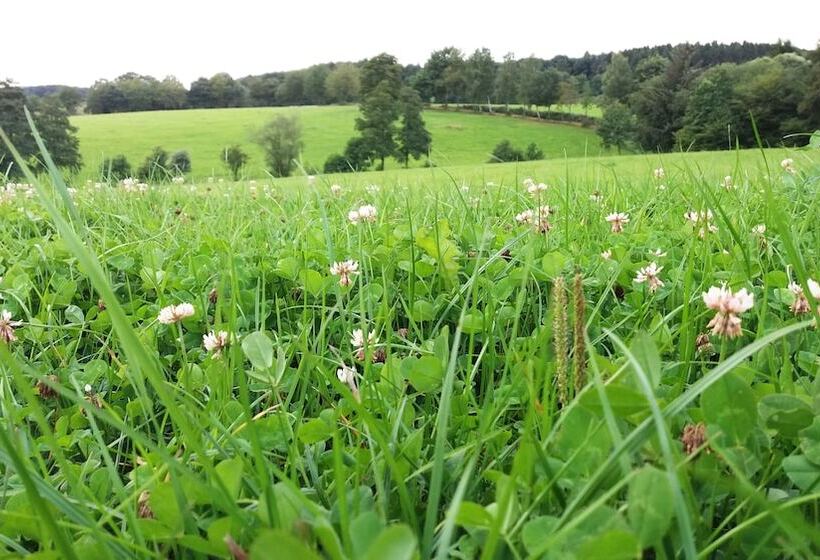 膳宿费 Gräfrath Gästehaus Neunkirchen Seelscheid