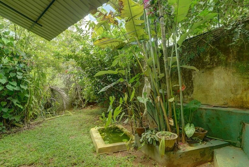 פנסיון Hanthana Holiday Rooms