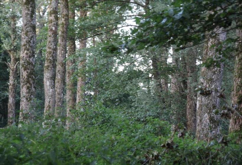 Bed and Breakfast Maison Jules