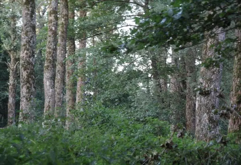 ベッドアンドブレックファースト Maison Jules