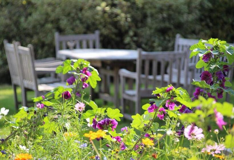 Bed and Breakfast Maison Jules