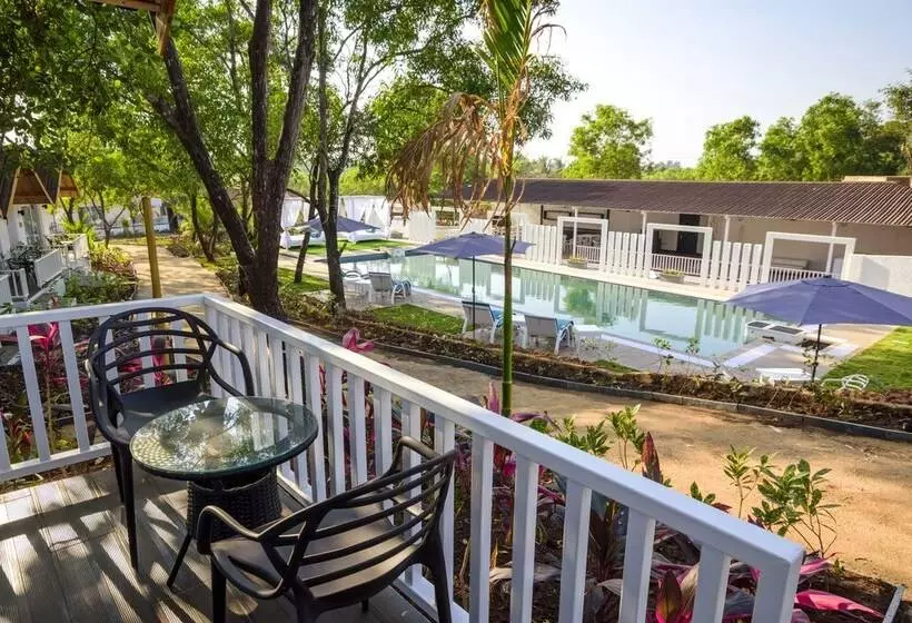 ホテル White Woods Resort, Morjim