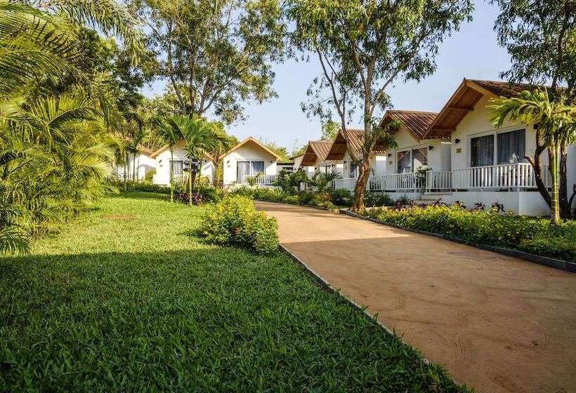 Hotel White Woods Resort, Morjim