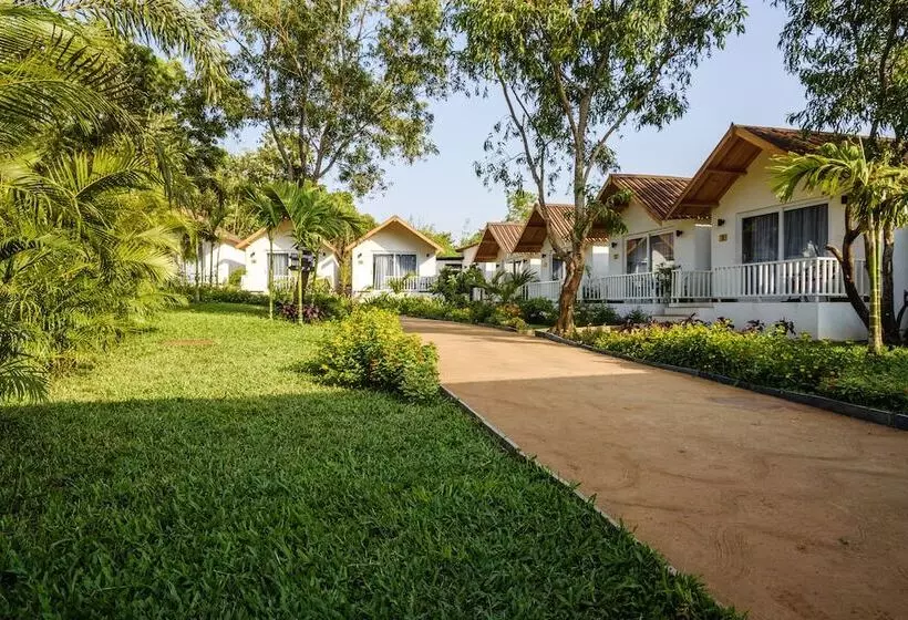 ホテル White Woods Resort, Morjim