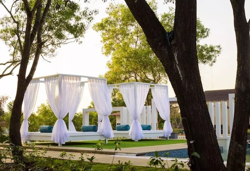 ホテル White Woods Resort, Morjim