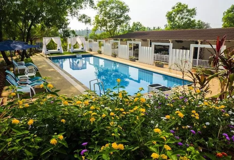 ホテル White Woods Resort, Morjim