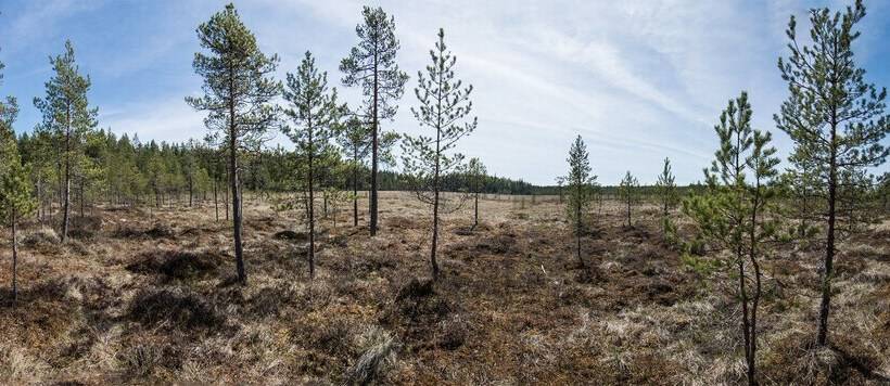 Huoneistohotelli Tarjanne Virrat