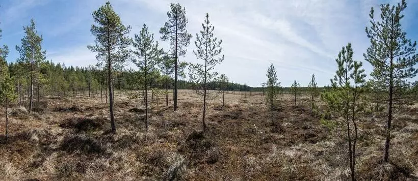 Huoneistohotelli Tarjanne Virrat