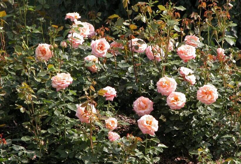 Pension (Hôtel basse catégorie) Casa Ceruti