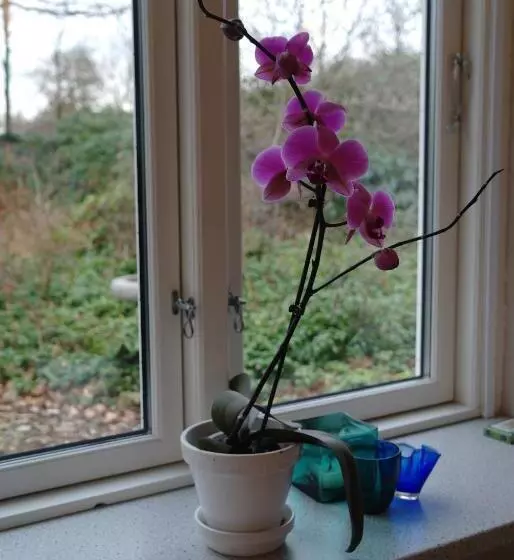 Agervig Bed & Breakfast