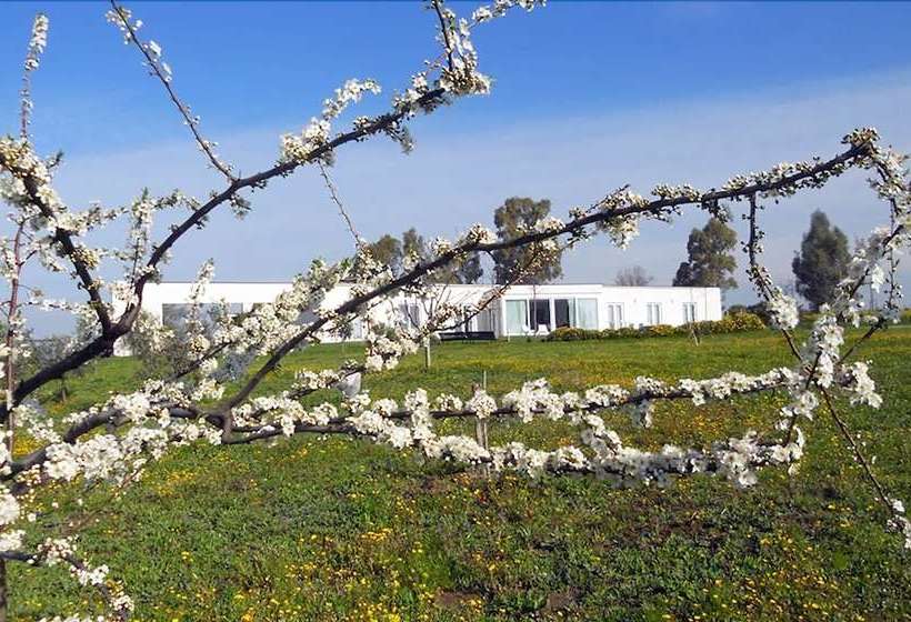 Bed and Breakfast Costantucci