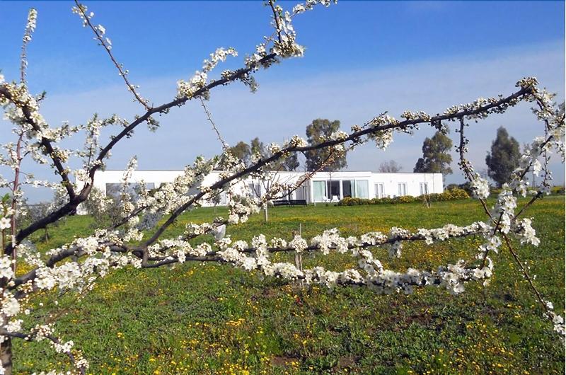 Bed and Breakfast Costantucci