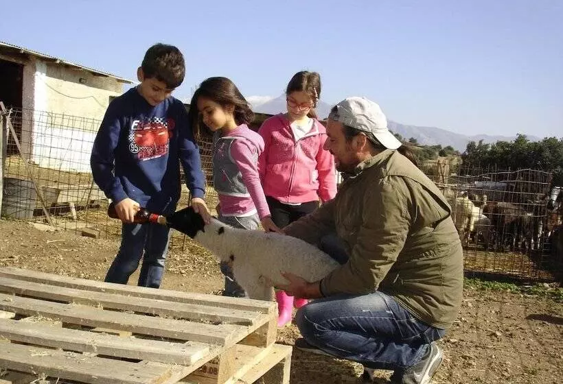 田舎風ホテル Ktima Nikola