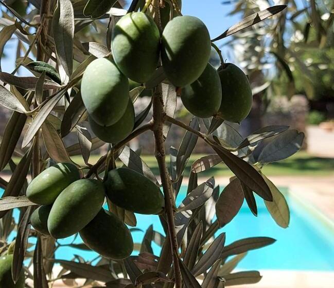 Nacalino Agriturismo