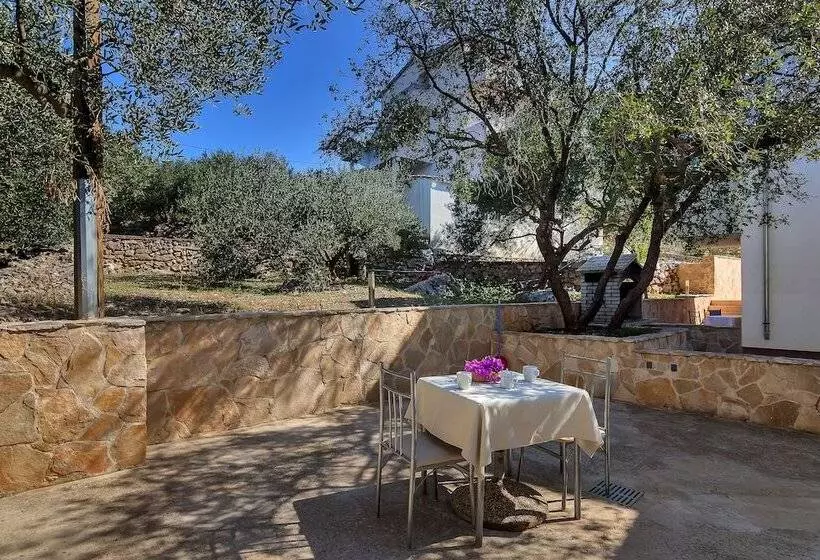 Apartments Cico