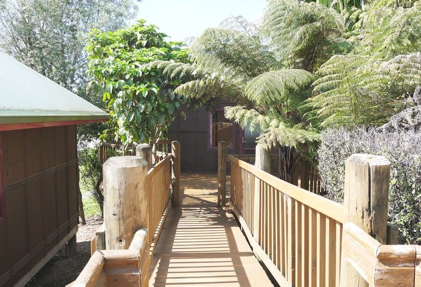 בית מלון כפרי Lake Karapiro Mighty River Domain