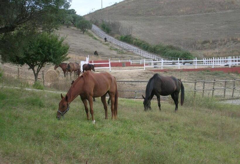 田舎風ホテル Casale Farnesiana B&b