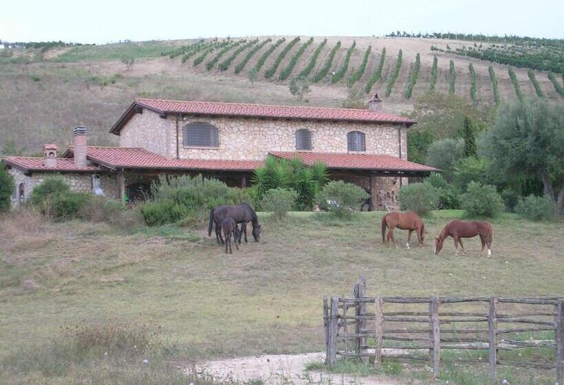 田舎風ホテル Casale Farnesiana B&b