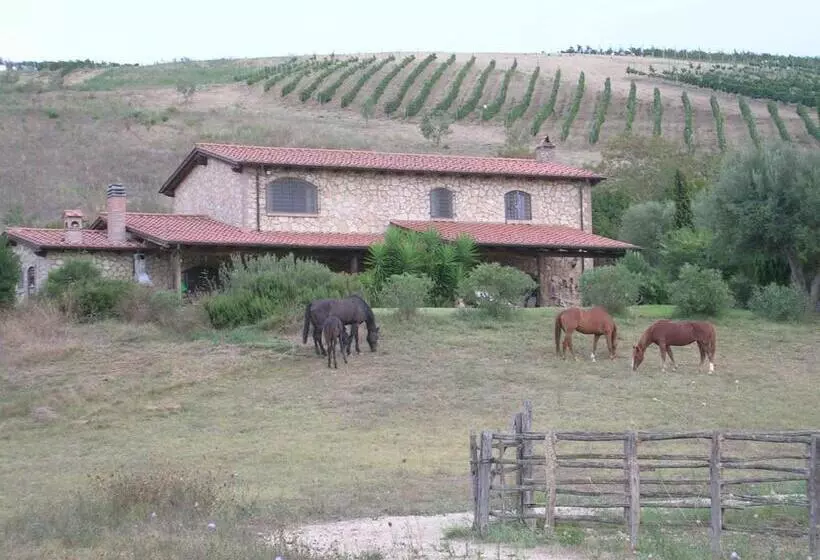 هتل روستایی Casale Farnesiana B&b