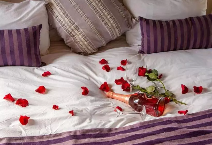 پانسیون Bedrock Guest Studios