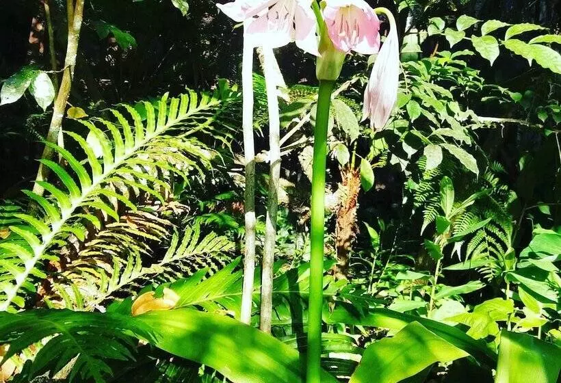 Hotelli Stolz Chales