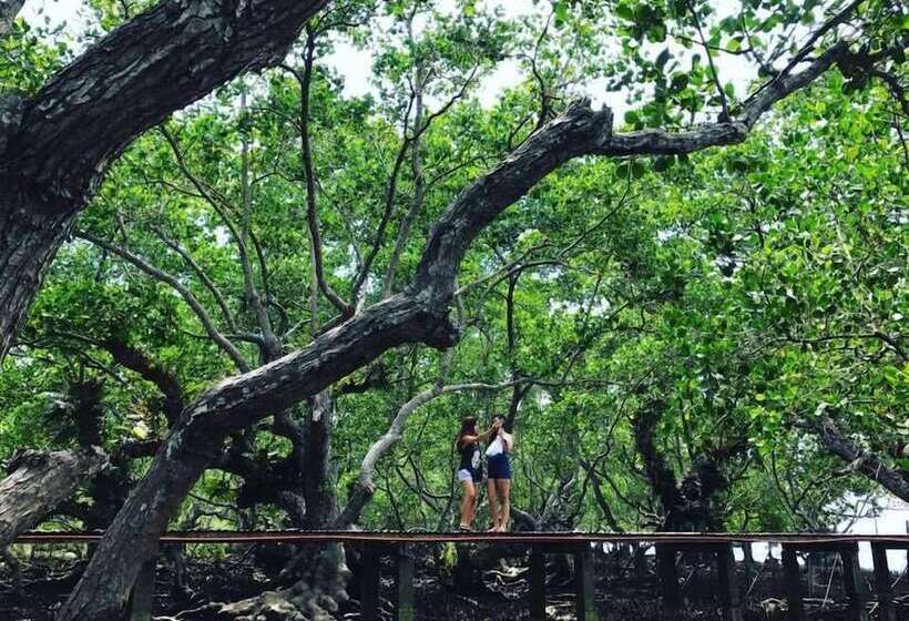 Hotel Talikud Island Mangrove Beach Resort